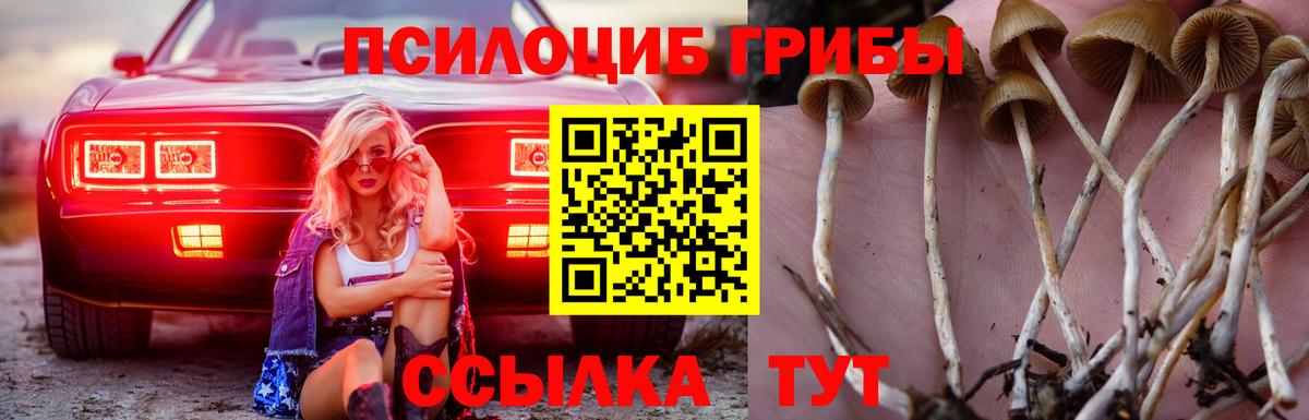 Псилоцибиновые грибы мицелий Скопин