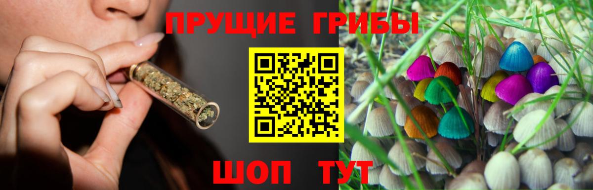Галлюциногенные грибы Cubensis  Вход с VPN  Скопин 